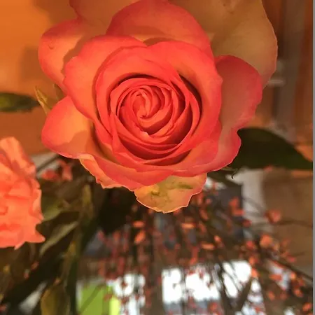 Les Jardins D'asnieres Аньер-сюр-Сен